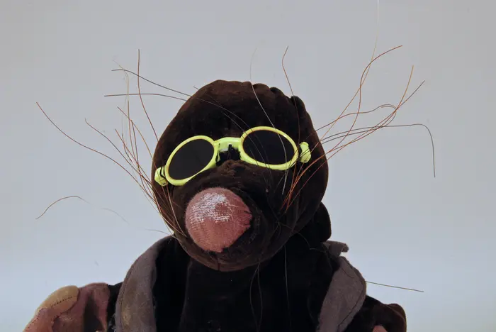 Maulwurf-Puppe mit neongrüner Sonnenbrille